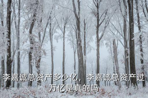 李嘉誠總資產(chǎn)多少億，李嘉誠總資產(chǎn)過萬億是真的嗎