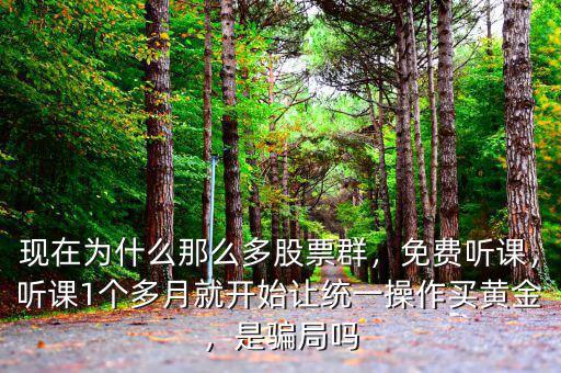 現(xiàn)在為什么那么多股票群，免費(fèi)聽(tīng)課，聽(tīng)課1個(gè)多月就開(kāi)始讓統(tǒng)一操作買(mǎi)黃金，是騙局嗎