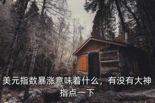 美元指數(shù)暴漲意味著什么，有沒有大神指點(diǎn)一下