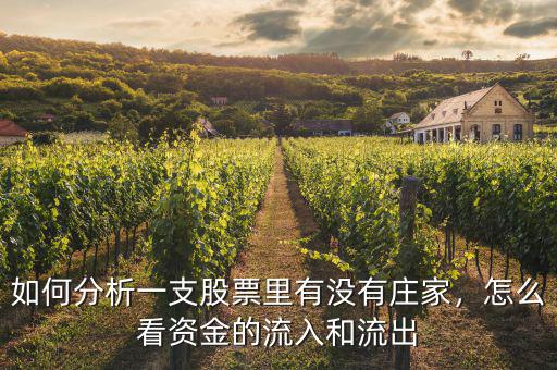 如何分析一支股票里有沒有莊家，怎么看資金的流入和流出