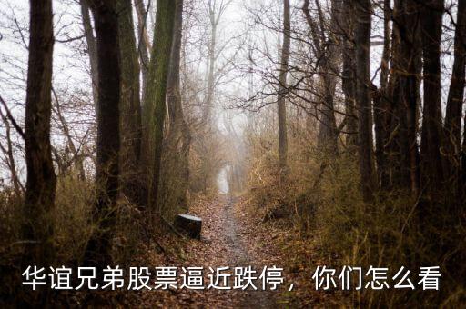 華誼兄弟股票逼近跌停，你們怎么看