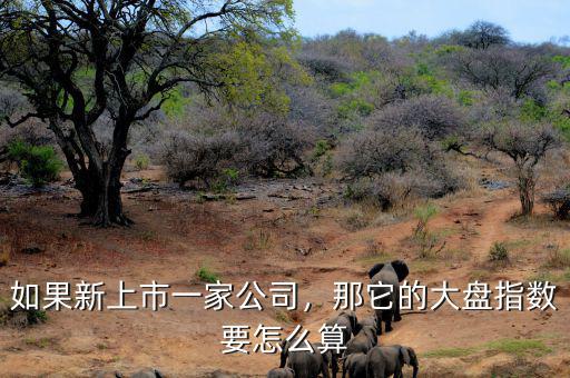 如果新上市一家公司，那它的大盤指數(shù)要怎么算