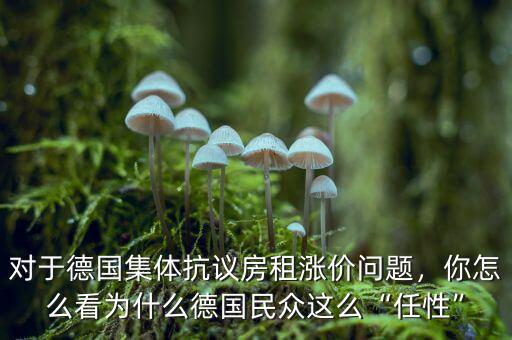 對(duì)于德國(guó)集體抗議房租漲價(jià)問(wèn)題，你怎么看為什么德國(guó)民眾這么“任性”