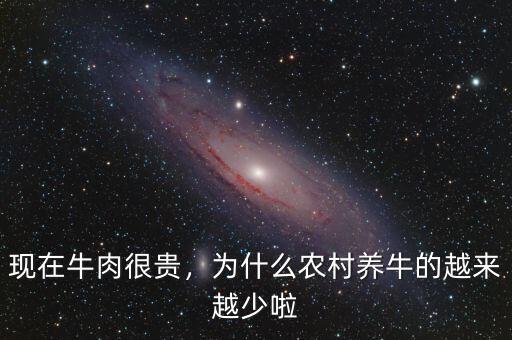 現(xiàn)在牛肉很貴，為什么農(nóng)村養(yǎng)牛的越來越少啦
