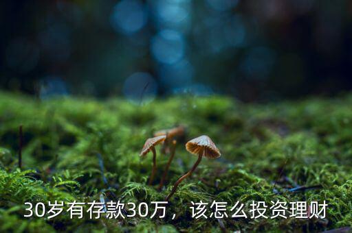 30歲有存款30萬(wàn)，該怎么投資理財(cái)
