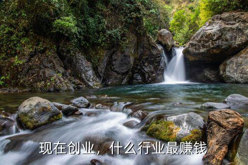 現(xiàn)在創(chuàng)業(yè)，什么行業(yè)最賺錢