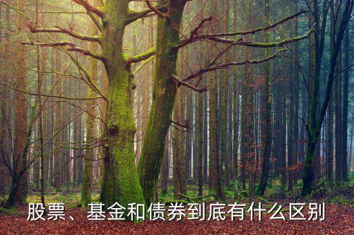 股票、基金和債券到底有什么區(qū)別