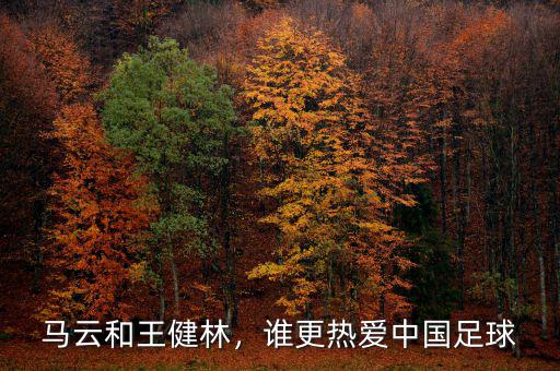 馬云和王健林，誰更熱愛中國足球