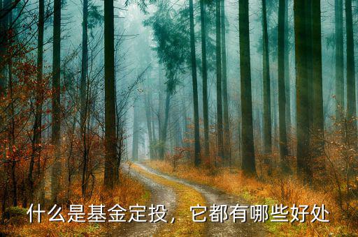 什么是基金定投，它都有哪些好處
