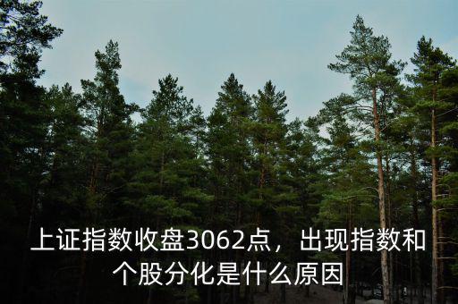 上證指數(shù)收盤3062點(diǎn)，出現(xiàn)指數(shù)和個股分化是什么原因