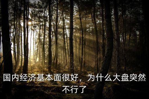 國內(nèi)經(jīng)濟(jì)基本面很好，為什么大盤突然不行了