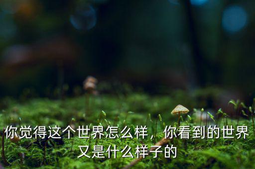 你覺得這個世界怎么樣，你看到的世界又是什么樣子的