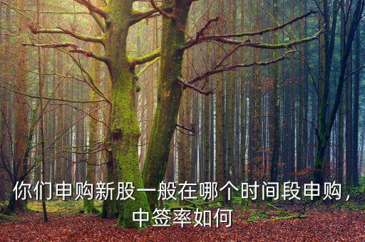 你們申購新股一般在哪個時間段申購，中簽率如何