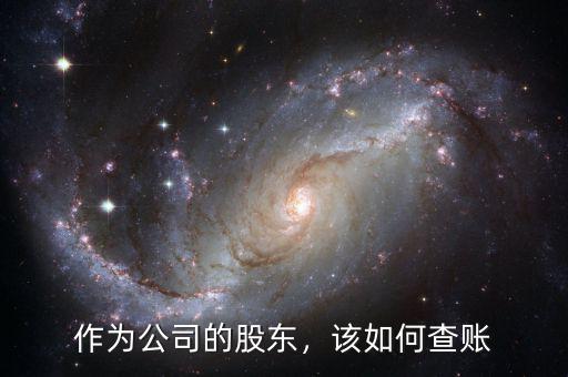 作為公司的股東，該如何查賬