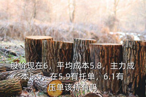 股價(jià)現(xiàn)在6，平均成本5.8，主力成本5.5，在5.9有托單，6.1有壓?jiǎn)卧摮钟袉? class=