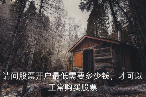 請問股票開戶最低需要多少錢，才可以正常購買股票