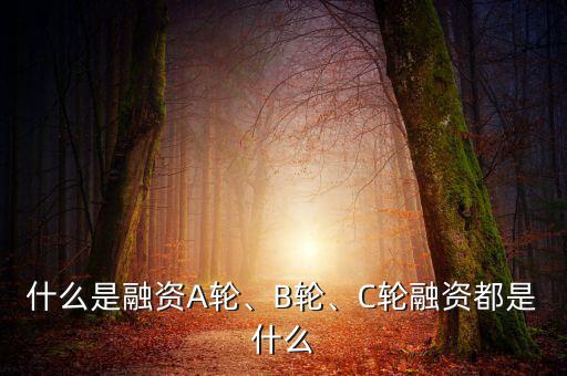 什么是融資A輪、B輪、C輪融資都是什么