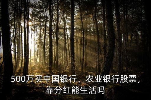 500萬買中國銀行、農(nóng)業(yè)銀行股票，靠分紅能生活嗎