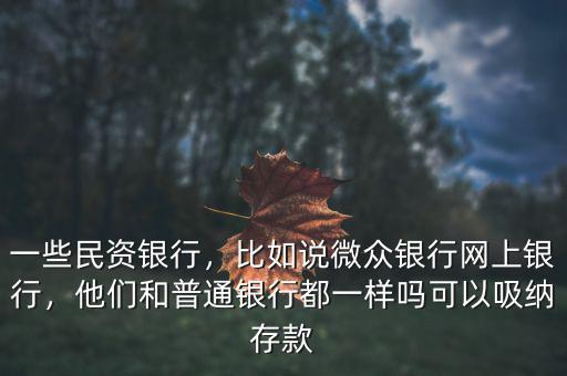 一些民資銀行，比如說(shuō)微眾銀行網(wǎng)上銀行，他們和普通銀行都一樣嗎可以吸納存款