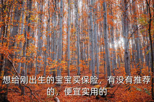 想給剛出生的寶寶買保險，有沒有推薦的，便宜實用的