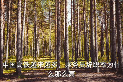 中國高鐵越來越多，乘務員辭職率為什么那么高