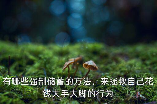 有哪些強(qiáng)制儲(chǔ)蓄的方法，來拯救自己花錢大手大腳的行為