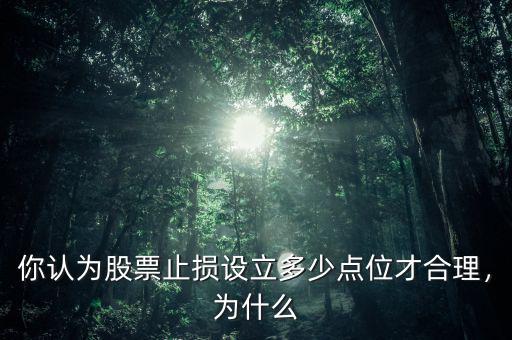 你認為股票止損設立多少點位才合理，為什么