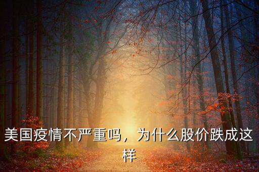 美國疫情不嚴重嗎，為什么股價跌成這樣