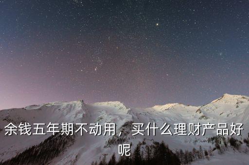 余錢五年期不動用，買什么理財產(chǎn)品好呢