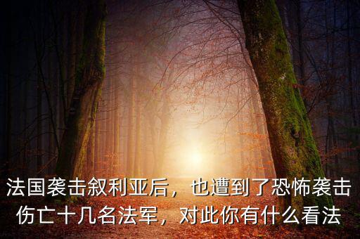 法國襲擊敘利亞后，也遭到了恐怖襲擊傷亡十幾名法軍，對此你有什么看法