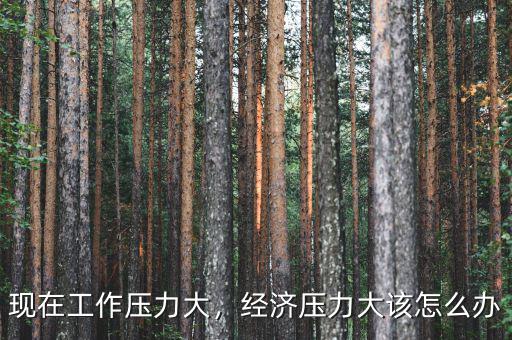 現(xiàn)在工作壓力大，經(jīng)濟(jì)壓力大該怎么辦