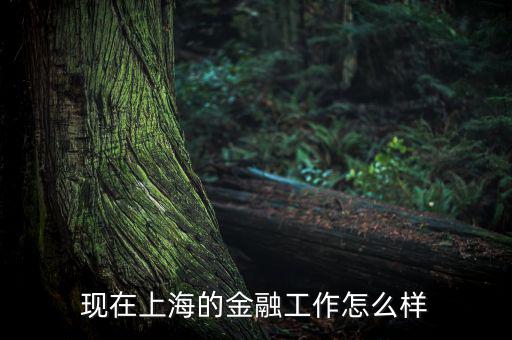 上?；バ沤鹑谠趺礃?上海立信會(huì)計(jì)金融學(xué)院怎么樣