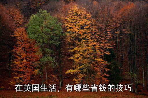 在英國(guó)生活，有哪些省錢(qián)的技巧