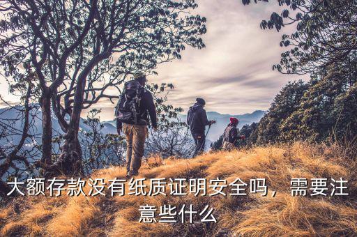 大額存款沒有紙質(zhì)證明安全嗎，需要注意些什么