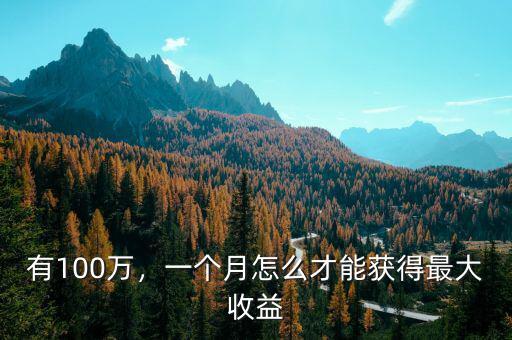 有100萬，一個月怎么才能獲得最大收益