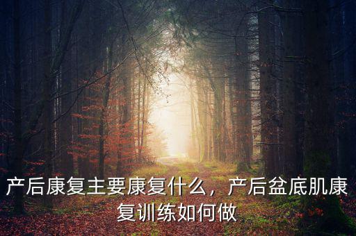 產(chǎn)后康復(fù)主要康復(fù)什么，產(chǎn)后盆底肌康復(fù)訓(xùn)練如何做