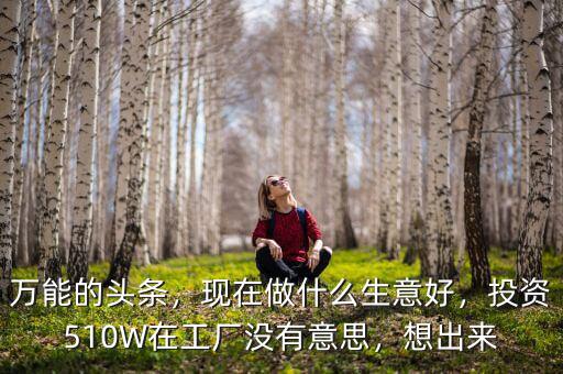 萬能的頭條，現(xiàn)在做什么生意好，投資510W在工廠沒有意思，想出來