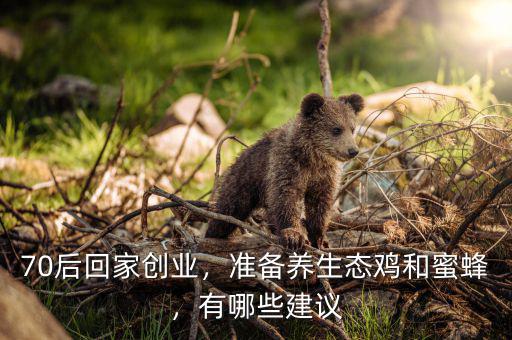 70后回家創(chuàng)業(yè)，準備養(yǎng)生態(tài)雞和蜜蜂，有哪些建議