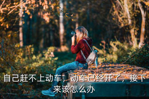 自己趕不上動車，動車已經(jīng)開了，接下來該怎么辦