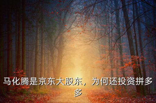 馬化騰是京東大股東，為何還投資拼多多