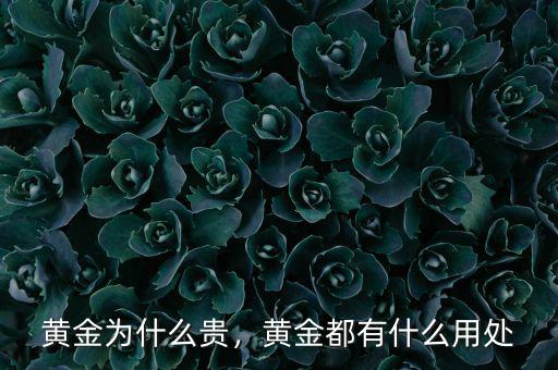 黃金為什么貴，黃金都有什么用處