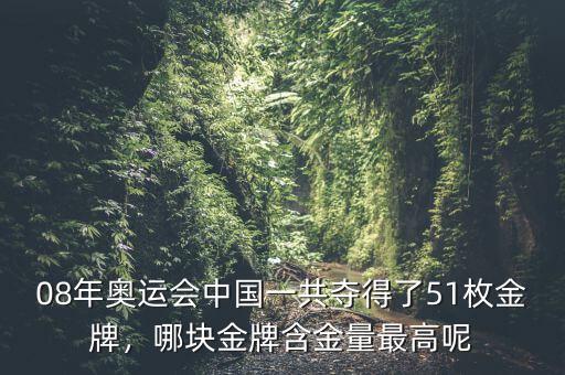08年奧運會中國一共奪得了51枚金牌，哪塊金牌含金量最高呢