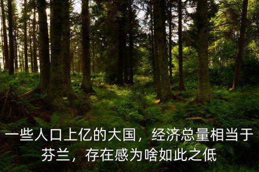 一些人口上億的大國，經濟總量相當于芬蘭，存在感為啥如此之低