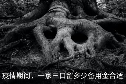 疫情期間，一家三口留多少備用金合適