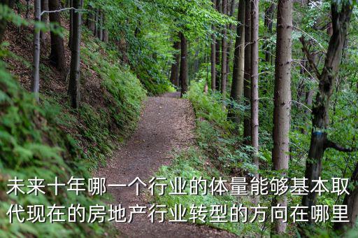 未來十年哪一個行業(yè)的體量能夠基本取代現(xiàn)在的房地產(chǎn)行業(yè)轉(zhuǎn)型的方向在哪里