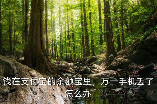 錢在支付寶的余額寶里，萬一手機(jī)丟了怎么辦