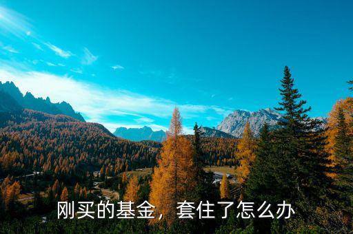 剛買的基金，套住了怎么辦