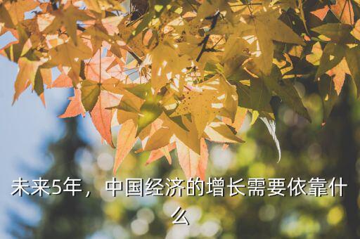 未來(lái)5年，中國(guó)經(jīng)濟(jì)的增長(zhǎng)需要依靠什么