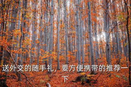送外交的隨手禮，要方便攜帶的推薦一下