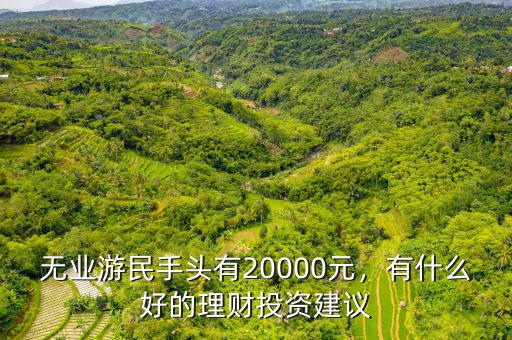 無(wú)業(yè)游民手頭有20000元，有什么好的理財(cái)投資建議